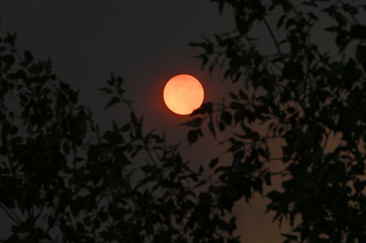 summer-blues-are-real-—-and-colorado’s-hot,-smoky-conditions-may-not-be-helping